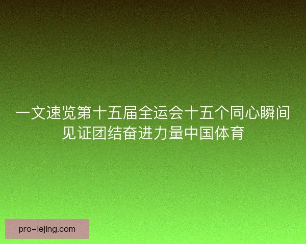 一文速览第十五届全运会十五个同心瞬间见证团结奋进力量中国体育