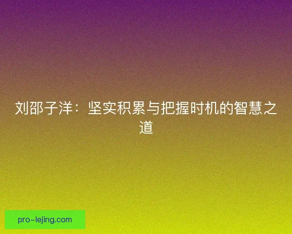 刘邵子洋：坚实积累与把握时机的智慧之道